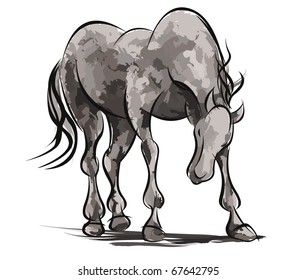 Dark Horse, raster also available