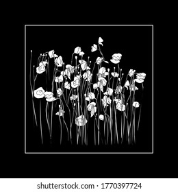 dark illustration with outline poppies