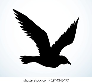 Dark ink hand drawn large zoo corvidae corone tail feather emblem design retro art cartoon contour print style. Closeup view light paper old large big lake free pica eagle beak picture sky text space