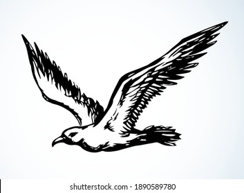 456 Albatross sketch Images, Stock Photos & Vectors | Shutterstock