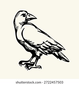 Tinta escura caneta mão desenhada zoo corvidae cauda pena emblema design. Estilo retrô de impressão biblic art doodle pencil cartoon contour bible. Closeup vista lateral papel velho grande neve grande pluma pica perna solo comer mar marinheiro grão refeição imagem céu claro texto espaço