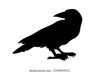 Dark ink pen hand drawn zoo corvidae tail feather emblem design. Retro biblic art doodle pencil cartoon contour bible print style. Closeup side view paper old large big snow plume pica leg soil eat sea marine grain meal picture light sky text space