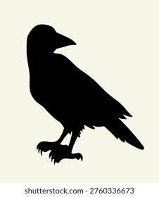 Dark ink pen hand drawn zoo corvidae tail feather emblem design. Retro biblic art doodle pencil cartoon contour bible print style. Closeup side view paper old large big snow plume pica leg soil eat sea marine grain meal picture light sky text space