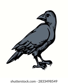 Dark ink pen hand drawn zoo corvidae tail feather emblem design. Retro biblic art doodle pencil cartoon contour bible print style. Closeup side view paper old large big snow plume pica leg soil eat sea marine grain meal picture light sky text space