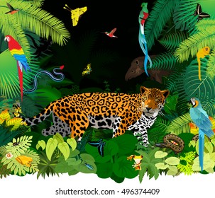 dark jungle with jaguar and diferent animals sketch