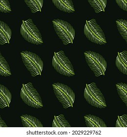 Dark jungle nature seamless pattern with doodle green fern leaves print. Black background. Simple style. Graphic design for wrapping paper and fabric textures. Vector Illustration.