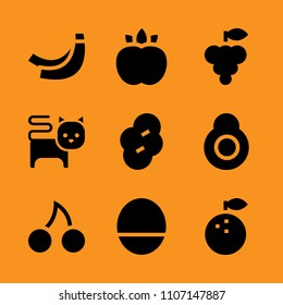 dark, metal, health and blooming icon set. Vector illustration for web and design.