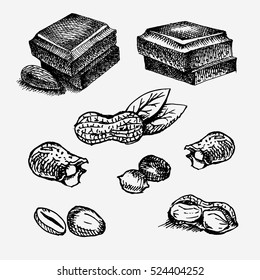 Dark and milk chocolate with nuts. Different types of nuts. Peanuts in shells. Pieces of chocolate. Vector stock illustration. Hand drawn work. Black and white pencil drawing
