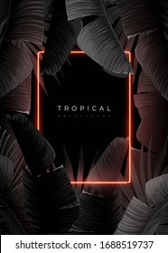 Dark monochrome tropical design with exotic banana leaves, soft neon frames and space for text. Vector summer template for poster, banner, card or flyer.