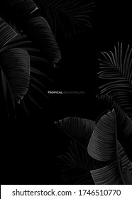 Dark monochrome tropical design with exotic banana leaves, soft neon frames and space for text. Vector summer template for poster, banner, card or flyer.