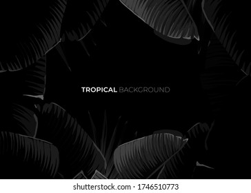 Dark monochrome tropical design with exotic banana leaves, soft neon frames and space for text. Vector summer template for poster, banner, card or flyer.