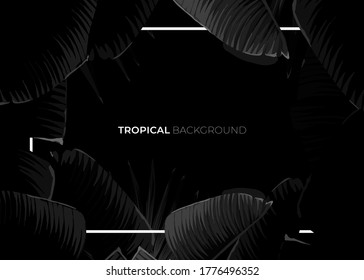 Dark monochrome tropical design with exotic banana leaves, soft neon frames and space for text. Vector summer template for poster, banner, card or flyer.