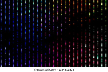 Dark Multicolor, Rainbow vector backdrop with long lines. Shining colored illustration with narrow lines. Pattern for websites, landing pages.