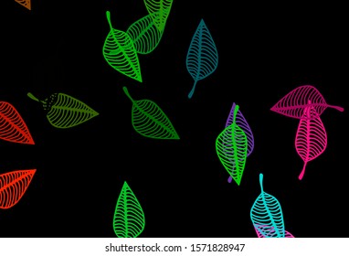 Dark Multicolor, Rainbow vector doodle backdrop. Creative illustration in simple style with leaves. New template for your business design.