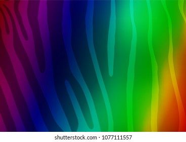 Dark Multicolor, Rainbow vector indian curved texture. Decorative shining illustration with doodles on abstract template. The textured pattern can be used for website.