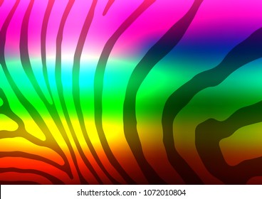 Dark Multicolor, Rainbow vector natural elegant template. A vague abstract illustration with doodles in Indian style. Hand painted design for web, wrapping, wallpaper.