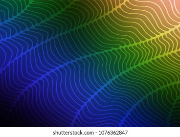 Dark Multicolor, Rainbow vector natural elegant pattern. Blurred decorative design in Indian style with lines. A new texture for your design.