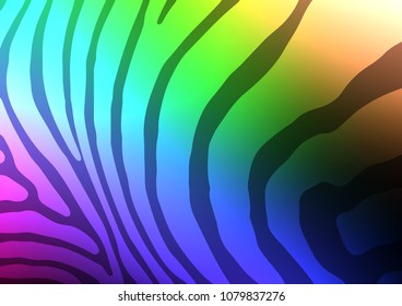 Dark Multicolor, Rainbow vector natural elegant background. Shining colored illustration with doodles in Zen tangle style. Brand-new style for your business design.
