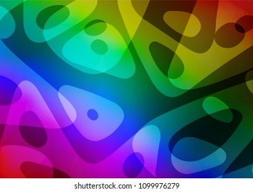 Dark Multicolor, Rainbow vector natural elegant template. A completely new color illustration in doodle style. The best blurred design for your business.