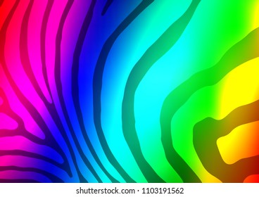 Dark Multicolor, Rainbow vector natural elegant pattern. Modern geometrical abstract illustration with doodles. A completely new design for your business.