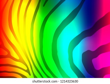 Dark Multicolor, Rainbow vector natural elegant pattern. Colorful illustration in abstract style with doodles and Zen tangles. The textured pattern can be used for website.