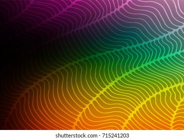 Dark Multicolor, Rainbow vector natural elegant pattern. An elegant bright illustration with lines in Natural style. The completely new template can be used for your brand book.