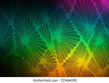 Dark Multicolor, Rainbow vector natural elegant background. Colorful illustration in abstract style with doodles and Zen tangles. The elegant pattern can be used as a part of a brand book.