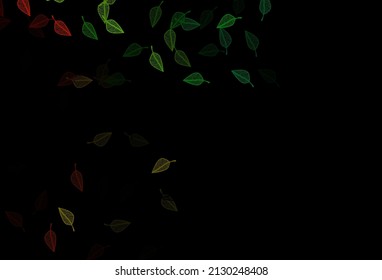 Multicolor oscuro, plantilla de dibujo vectorial arco iris. Nueva ilustración colorida en estilo doodle con hojas. Diseño completamente nuevo para su negocio.