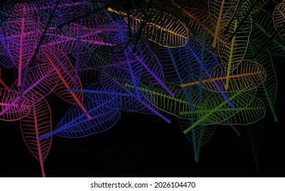Dark Multicolor vector abstract design with leaves. Glitter abstract illustration with doodles and leaves. The best design for your business.