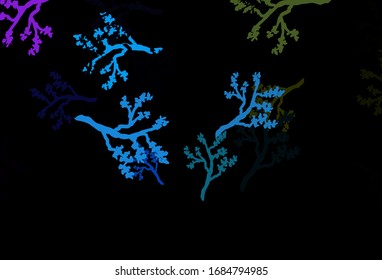 Dark Multicolor vector doodle pattern with branches. Abstract illustration with leaves, branches in doodles style. Brand new style for your business design.