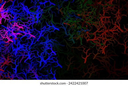 Dark Multicolor vector doodle pattern with leaves, branches. Colorful illustration in doodle style with leaves, branches. New design for your business.