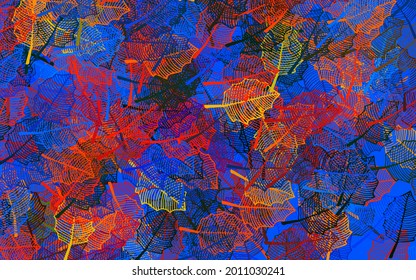 Dark Multicolor vector elegant pattern with leaves. Glitter abstract illustration with doodles and leaves. Template for backgrounds of cell phones.