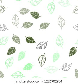 Dark Multicolor vector seamless elegant background with leaves. Shining colored illustration with leaves in doodle style. Template for business cards, websites.