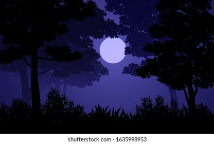 dark night in forest with moonlight