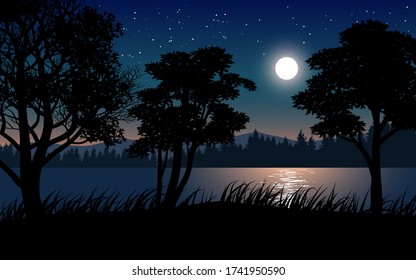 Dark night in the forest with river and trees