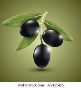 Dark olive on a green background, vector illustration.