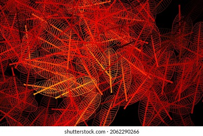 Dark Orange vector abstract background with leaves. leaves on elegant natural pattern with gradient. Brand new style for your business design.