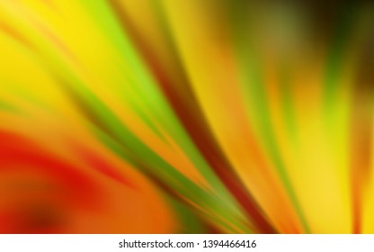 Dark Orange vector abstract blurred background. Colorful abstract illustration with gradient. The best blurred design for your business.