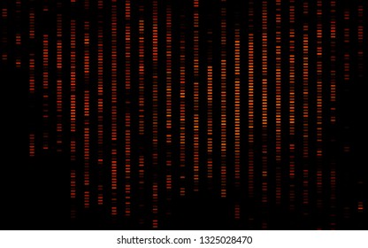 Dark Orange vector backdrop with long lines. Decorative shining illustration with lines on abstract template. Pattern for ads, posters, banners.