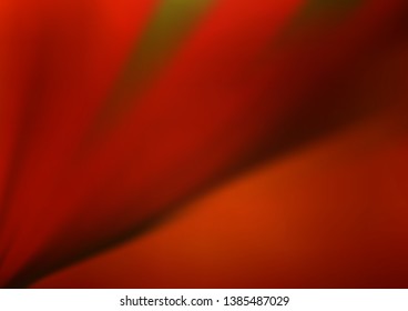 Dark Orange vector blur pattern. Colorful abstract illustration with gradient. The best blurred design for your business.