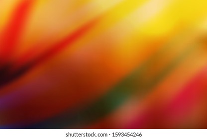 Dark Orange vector blurred shine abstract background. Colorful abstract illustration with gradient. Elegant background for a brand book.