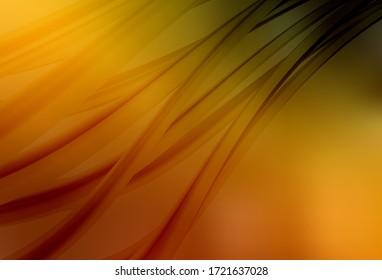 Dark Orange vector blurred shine abstract texture. An elegant bright illustration with gradient. New way of your design.