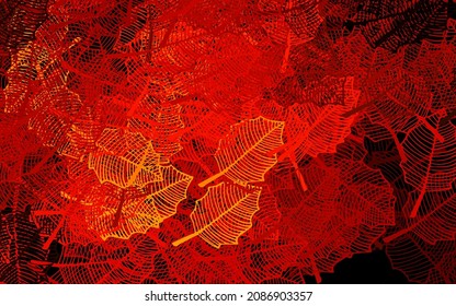 Dark Orange vector doodle backdrop with leaves. Illustration with doodles on abstract template. New design for your business.