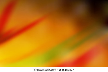 Dark Orange vector glossy abstract layout. Glitter abstract illustration with gradient design. The best blurred design for your business.