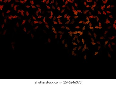 Dark Orange vector sketch backdrop. Sketchy doodles with colorful gradient leaves. Pattern for heads of websites and designs.