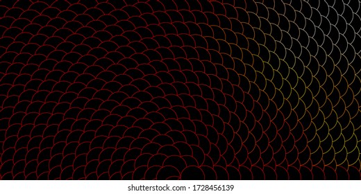 Plantilla de vector naranja oscuro con círculos. Ilustración con un conjunto de esferas abstractas coloridas y brillantes. Nueva plantilla para un libro de marcas.