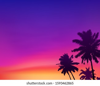 Dark palm trees silhouettes on violet and pink colors sunset sky background, vector illustration