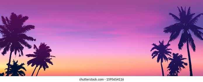 Dark palm trees silhouettes on sunset or sunrise background, vector panoramic bannet illustration