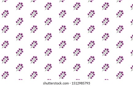 Dark Pink Angelica Flower Branch Pattern Background