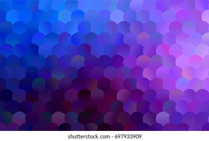Dark Pink, Blue vector abstract pattern with circles. Geometry template for your business design. Background with colored spheres.